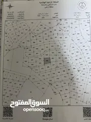  1 ارض للبيع - السلط - شارع الستين - حي النبي يوسع