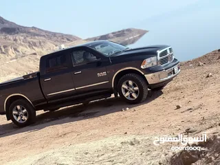  10 دوج رام 2016