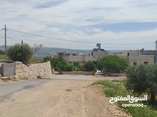  15 دنم مميز بطنا ع شارعين قرب شارع الستين الجديد