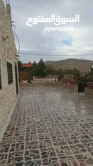  23 جلي جميع انواع البلاط والرخام والجرانيت والسيراميك والمزايكو والبازلت