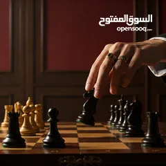  1 مطلوب كلب هاسكي للتبني