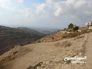  4 9 دونم تصنيف ب بسعر مميز