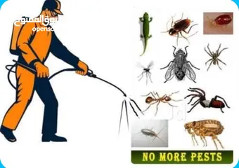  3 شركة ابيض ابيض لمكافحة الحشرات وخدمات التنظيف