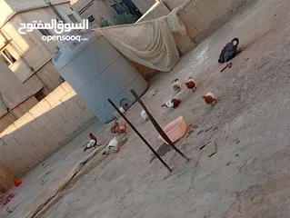  4 جواز حمام للبيع المستعجل وبسعر مغري جدا