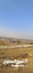 19 مزرعه 3400 متر مفروزه كوشان مستقل عاليه كاشفه وسط الظهره منطقه راقيه و سعر مميز جدا