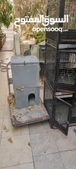  3 Rabbit Cage