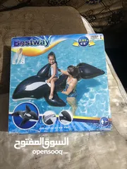  4 بلون البحر دلفيل