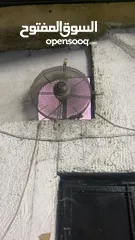  8 صالة بلياردو وكافيه