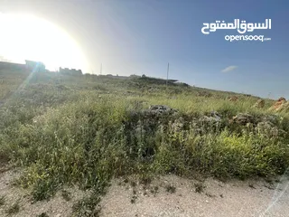  3 قطعة أرض للبيع في منطقة روجيب