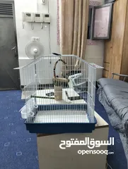  3 قفص عصفير بحاله جديدة