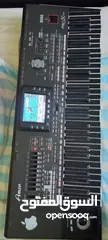  2 اورغ بحالة الوكاله 3XOR