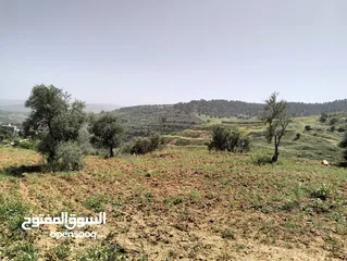  7 أرض مميزة جداً لعمل شاليه استثماري أو مزرعة خاصة أو مزرعة تجارية يوجد بها قناة ماء من المالك مباشرة