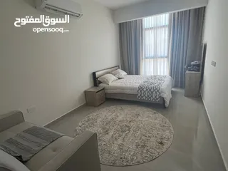  1 غرفه وصاله يومي اسبوعي شهري ب25 لليوم منطقة مسجد محمد الامين بوشرone bedroom apt for rent in bousher