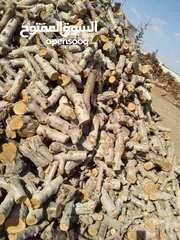  1 حطب للبيع حمضيات