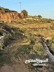  11 ارض للبيع جرش المجدل راس دبوس مطله على سد الملك طلال مساحة 3000متر بسعر مغري جداااااا
