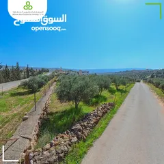  4 أرض سكنية مزروعة زيتون في السلط / الصبيحي / سيحان / 1200 متر