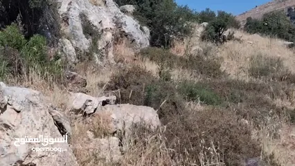  2 ارض للبيع الفحيص حد الحمر لقطه