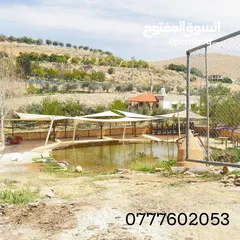  6 قطعة ارض مطلة ومرتفعه مساحة 4 دونم اتفي القنية مقابل مطاعم السمك ومنتجع تل الورد