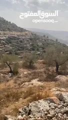  2 ارض للبيع بقراوه بني زيد عشارع الرئيسي لفرخه وسلفيت مقابل شركه جوال