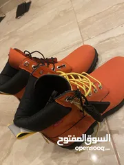  3 TIMBERLAND