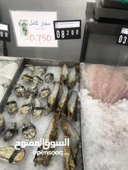  24 ‏للبيع سمك
