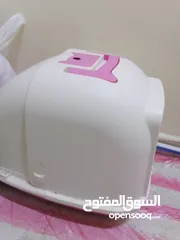  5 قطط شيرازي