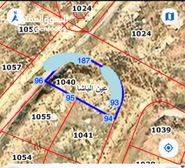  1 ارض مميزه للبيع في عين الباشا ( الرملة الغربيه )