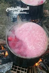  26 شروة دبس رمان بلدي للبيع