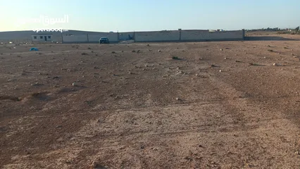 1 مطلوب شريك ممول لمزرعه مواشي