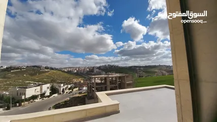  16 Luxury Apartment  for Sale In Abdoun ( Property 42304 )-174804546