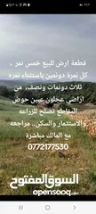  1 ارض زراعيه للبيع