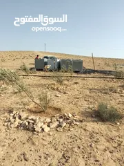  10 عشره دنمات للبيع