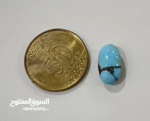  16 أحجار فيروز نيشابورية اصلية طبيعية للبيع