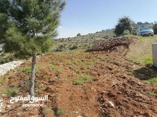  1 ارض مميزه  للبيع في جرش عنيبه فوق مزرعه الدكتور محمد نوح  دونمين