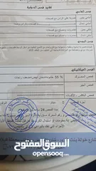  6 ميتسوبيشي لانسر 2005