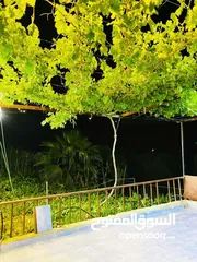  7 مزرعه للبيع من المالك مباشره
