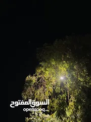  1 مطلوب تركتر مسي 240 من سعر 2300 ونتا نازل ويحون مرخص