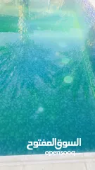  3 فيلا بسعر مغري