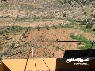  16 منزل ومزرعة للبيع في منطقة المريجمة-مادبا