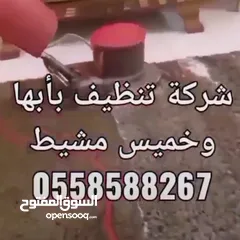  1 شركة غسيل خزانات مجالس كنب فرش شقق فلل منازل