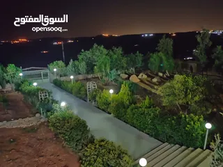  7 مزرعة مميزة ناعور المشقر