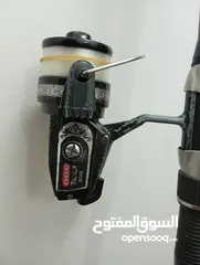  2 بكره يروبي مع قصبه يباني دايوه