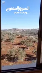  7 شقة للبيع في جنين (ضاحية الزيتونة) بسعر مغري من المالك مباشرة