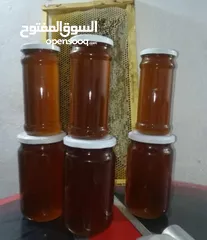  17 عسل نحل بلدي من منحلي بسعر جمله الجمله