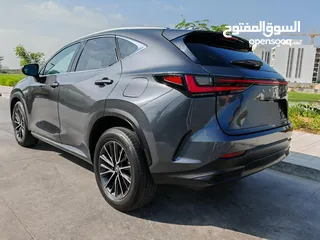  3 LEXUS NX350 2024