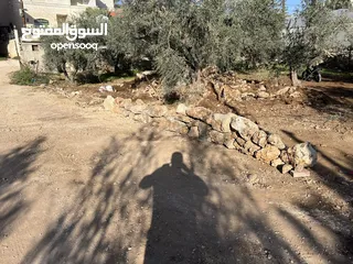  1 نصف دونم للبيع - اكتابا