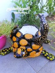  5 Beautiful Turtle pots with cobra