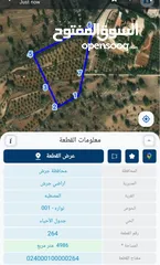  1 ارض للبيع 5 دونم في جرش المصطبة