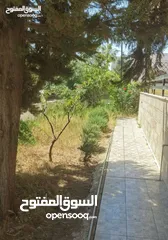  2 *فيلا*  مكونة من طابقين وروف صغير ( غرفة + حمام + مطبخ صغير) مساحة الارض 850 ع الكوشان 750 مساحة كل