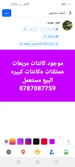  1 موجود كانات مربعات +مثلثات +كانات كبيره البيع مستعمل